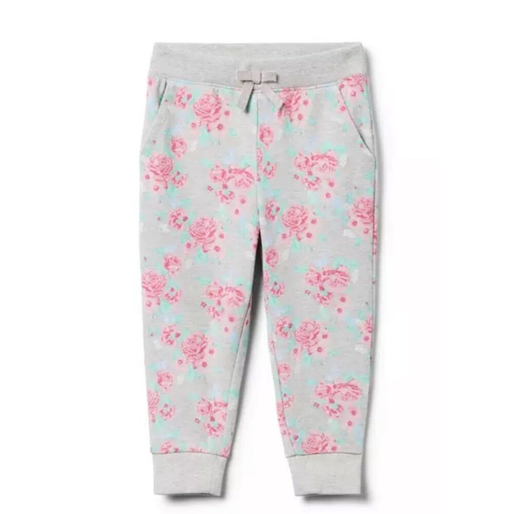 Janie and jack floral jogger sweatpants gray and pink 3 NWT